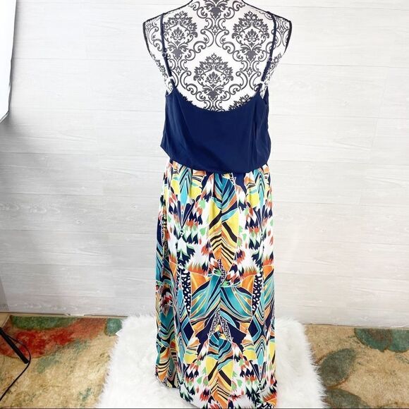 Fracescas Blue Rain Malabar Printed Maxi Dress - Picture 6 of 10